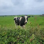 Coastal View Mullagh (Clare)