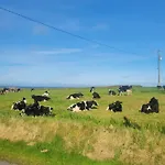 Coastal View * Mullagh (Clare)