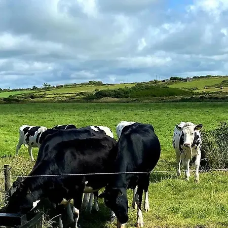 Coastal View 民宿 *