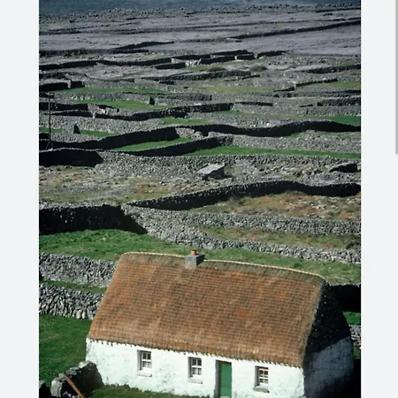 Kwatera prywatna Coastal View Mullagh (Clare)