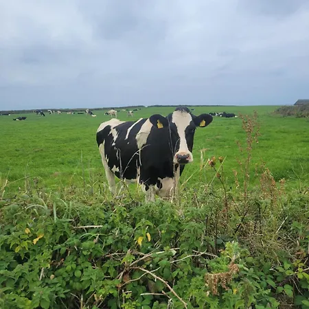 Coastal View Mullagh (Clare)