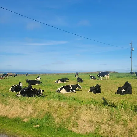 Coastal View * Mullagh (Clare)