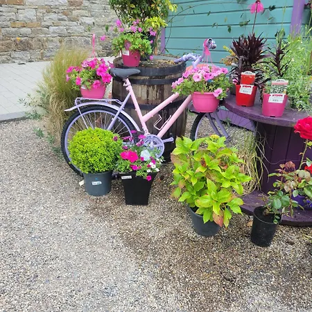 Coastal View Mullagh (Clare)