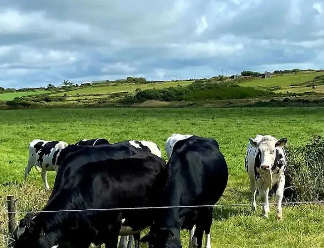 Coastal View Rum i privatbostad *