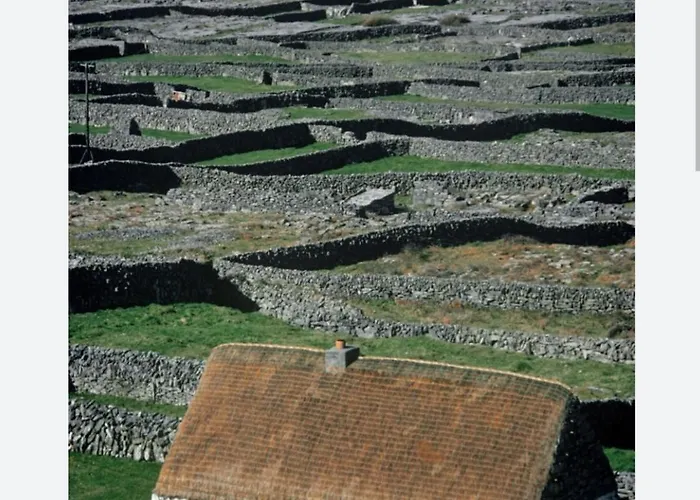 Rum i privatbostad Coastal View Mullagh (Clare)