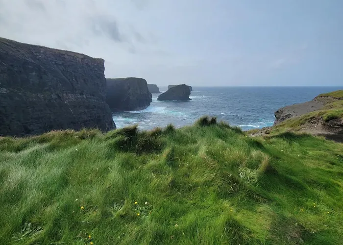 Coastal View * Mullagh (Clare)