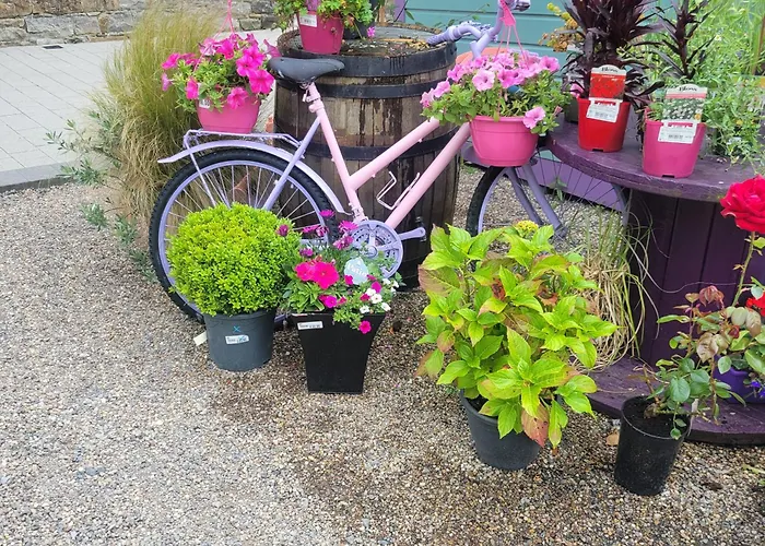 Coastal View Mullagh (Clare)